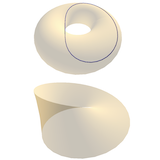 The Torus and the Möbius Strip