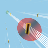 Living on a Torus